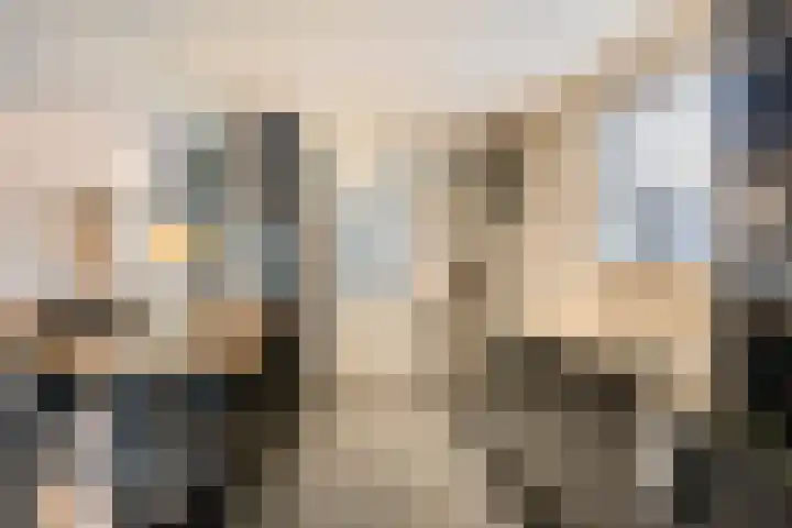Zeterdonk 7 Den Dungen foto 3