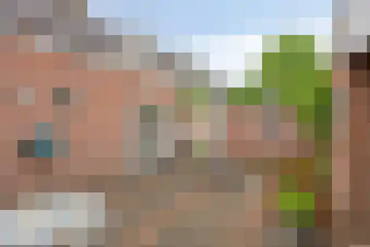 Zeterdonk 7 Den Dungen thumbnail 30