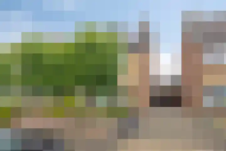 Zeterdonk 7 Den Dungen thumbnail 34