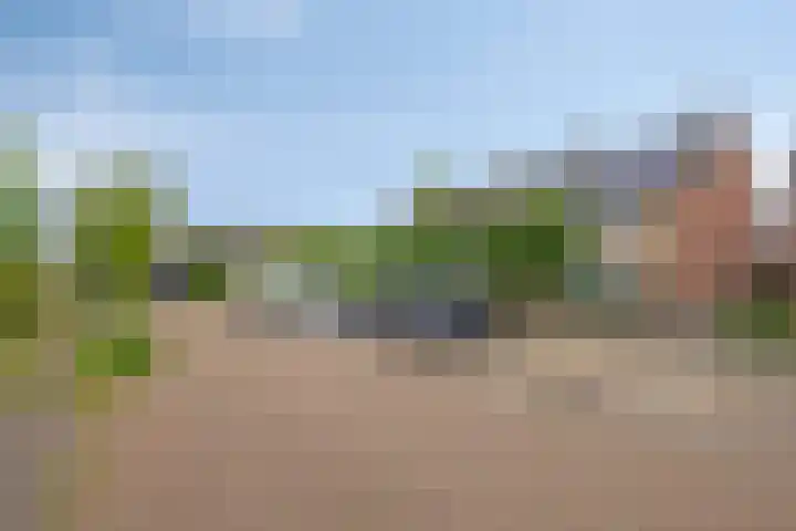 Zeterdonk 7 Den Dungen thumbnail 35