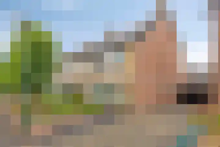 Zeterdonk 7 Den Dungen thumbnail 36