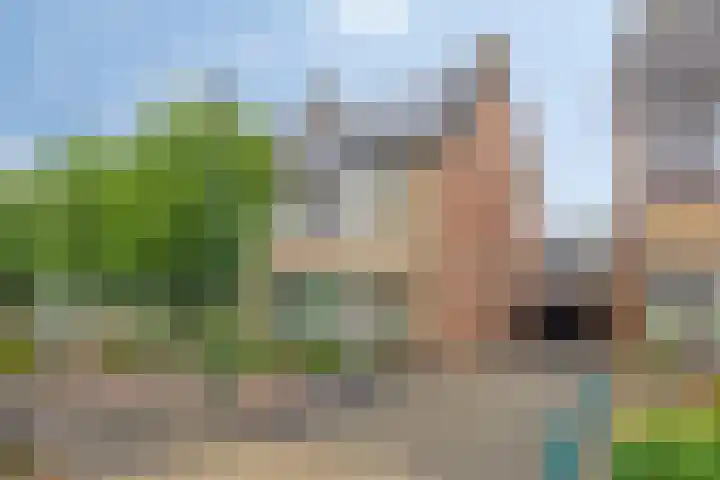 Zeterdonk 7 Den Dungen thumbnail 37