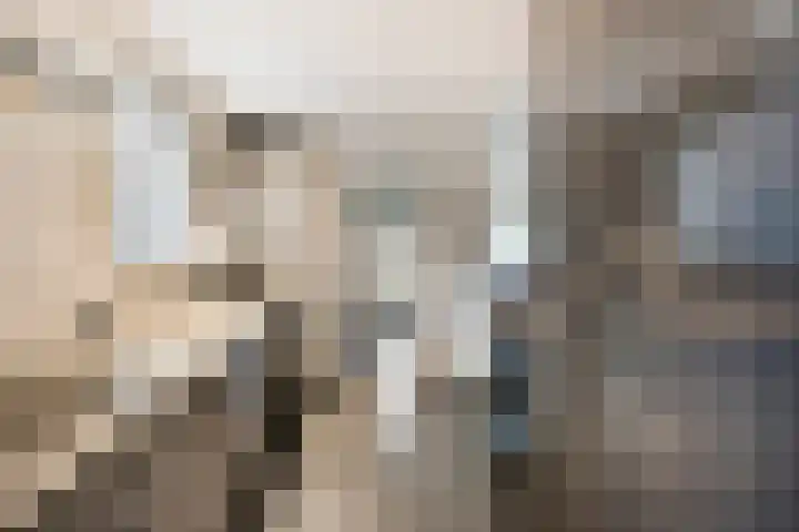 Zeterdonk 7 Den Dungen thumbnail 5