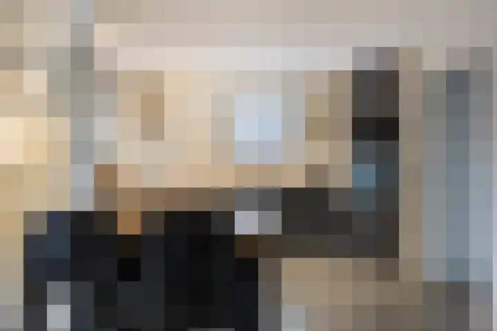 Zeterdonk 7 Den Dungen thumbnail 6