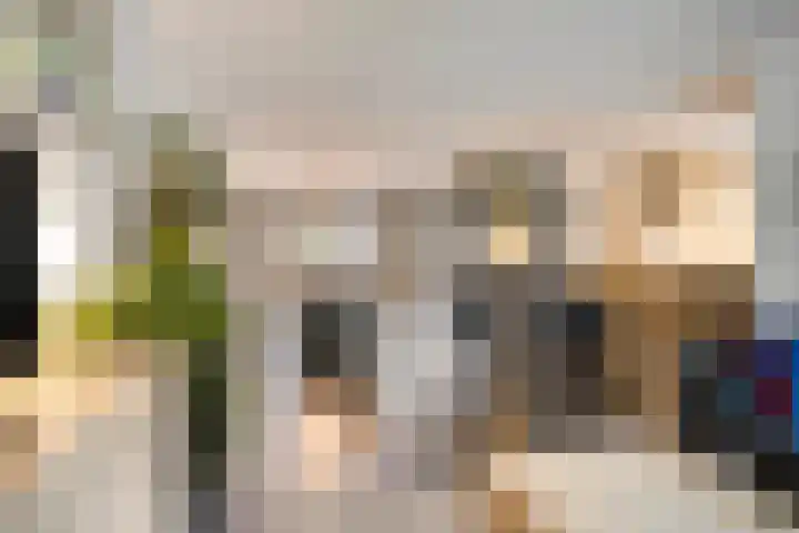 Zeterdonk 7 Den Dungen thumbnail 8