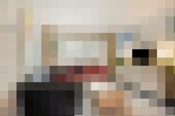 Zeterdonk 7 Den Dungen thumbnail 9
