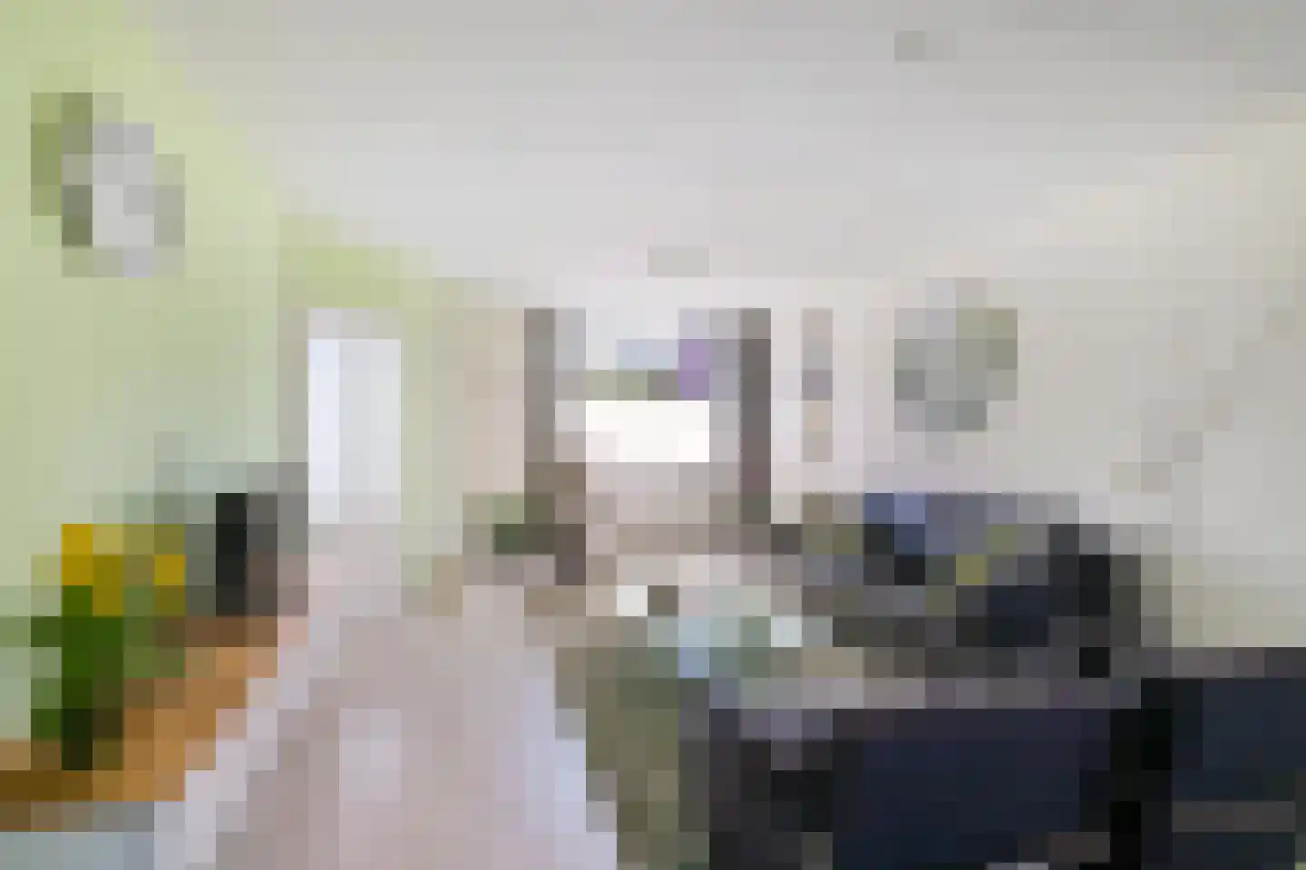 Zetstee 18 Zuidlaren thumbnail 11