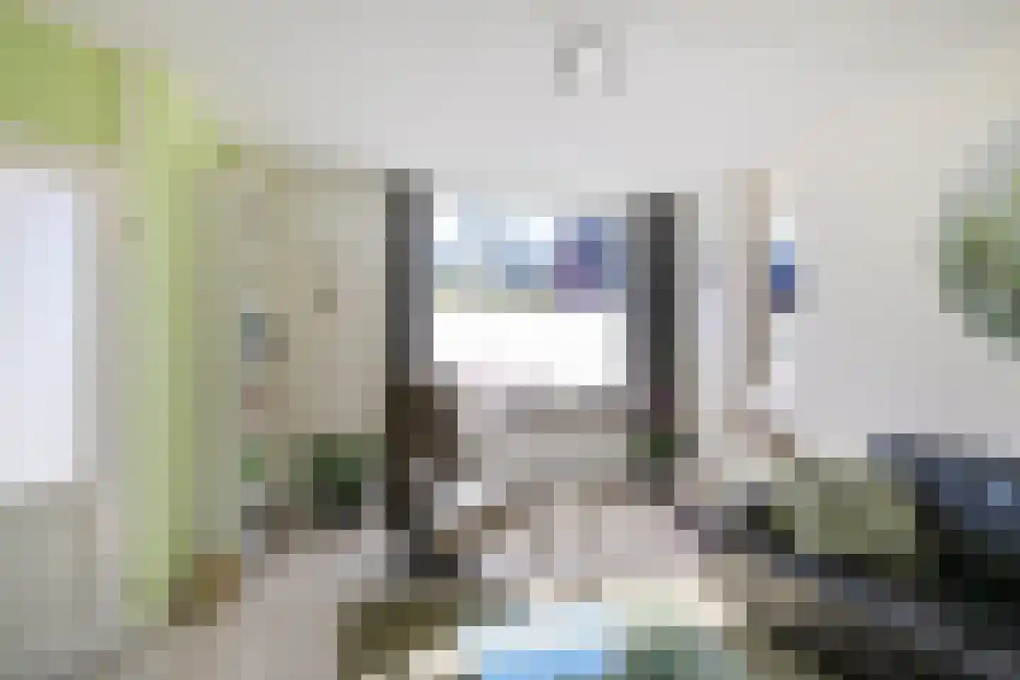 Zetstee 18 Zuidlaren thumbnail 12