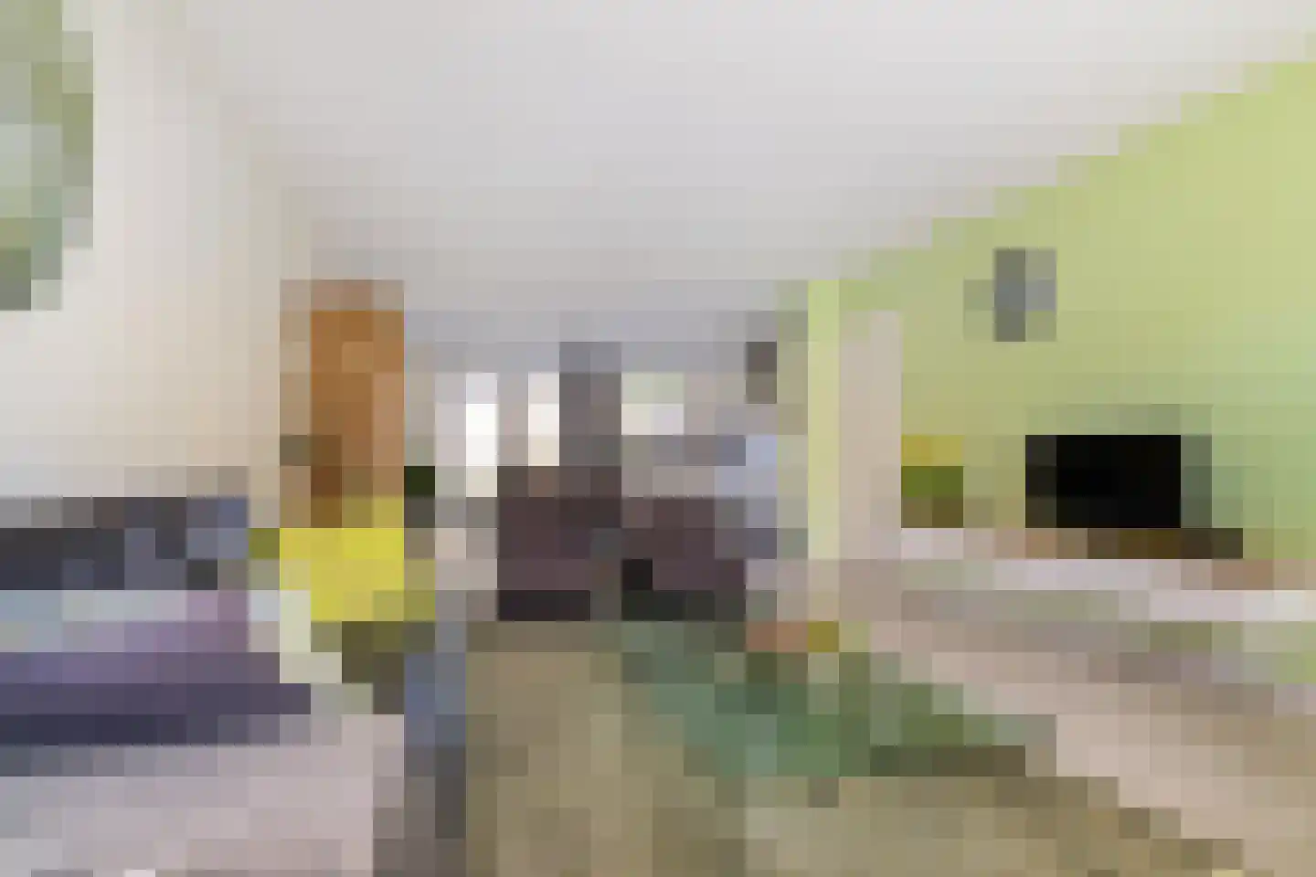 Zetstee 18 Zuidlaren thumbnail 13