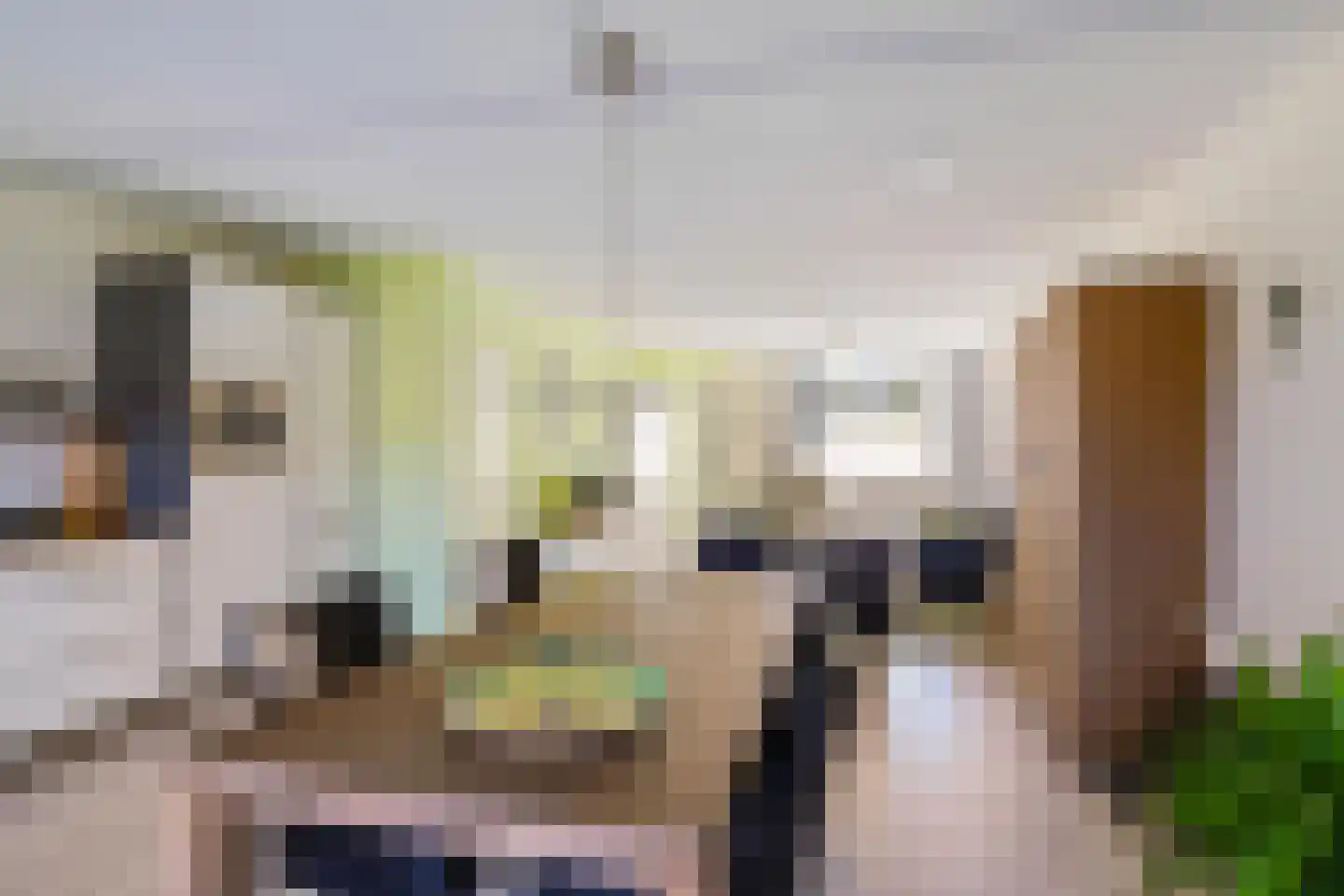Zetstee 18 Zuidlaren thumbnail 18