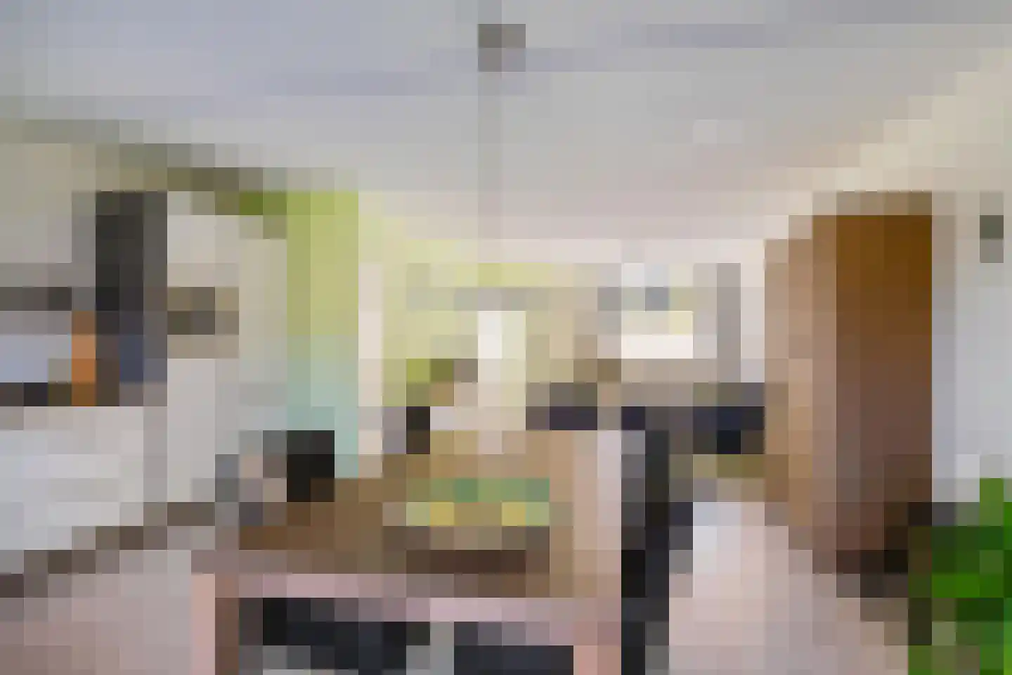 Zetstee 18 Zuidlaren thumbnail 19