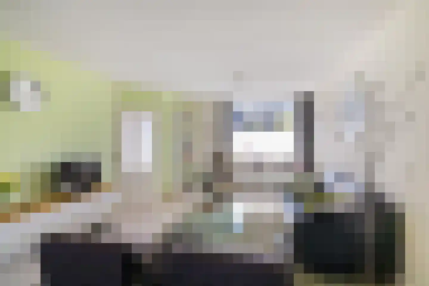 Zetstee 18 Zuidlaren thumbnail 20