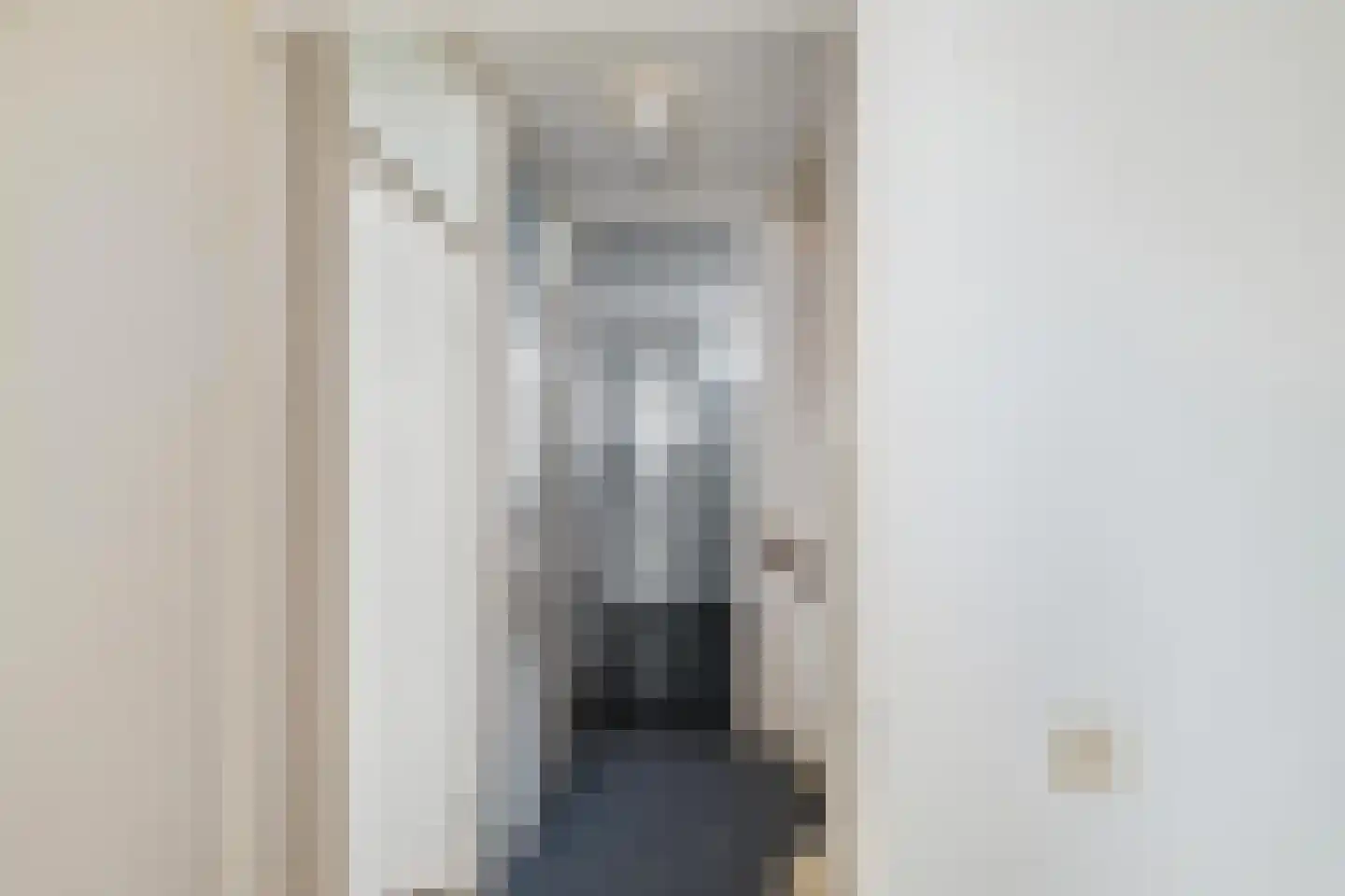 Zetstee 18 Zuidlaren thumbnail 27