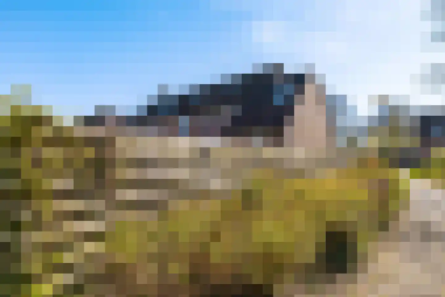 Zetstee 18 Zuidlaren thumbnail 8