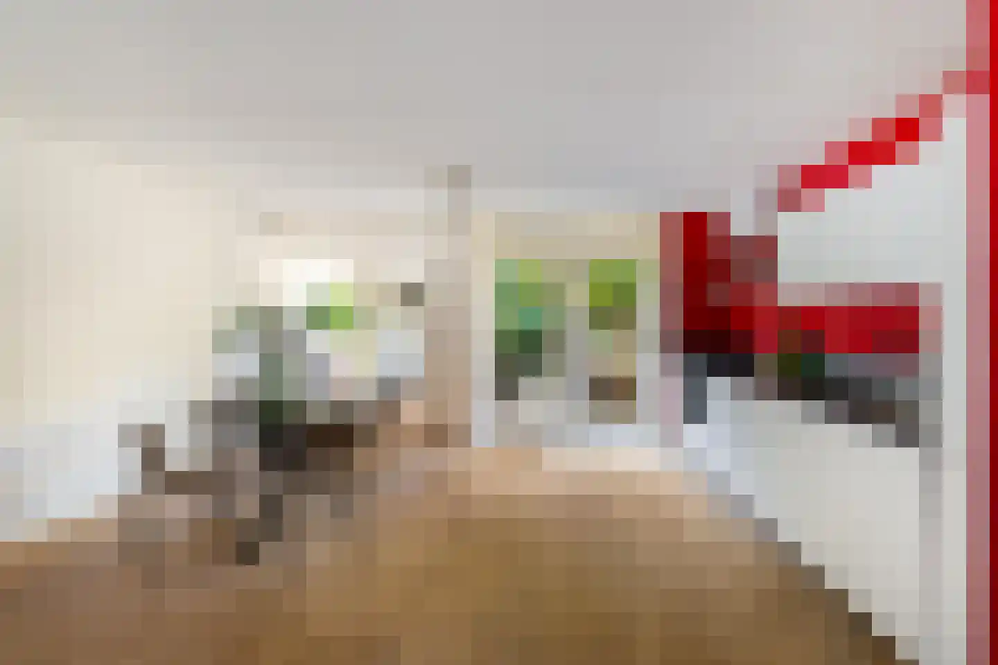 Zetstee 57 Zuidlaren thumbnail 15