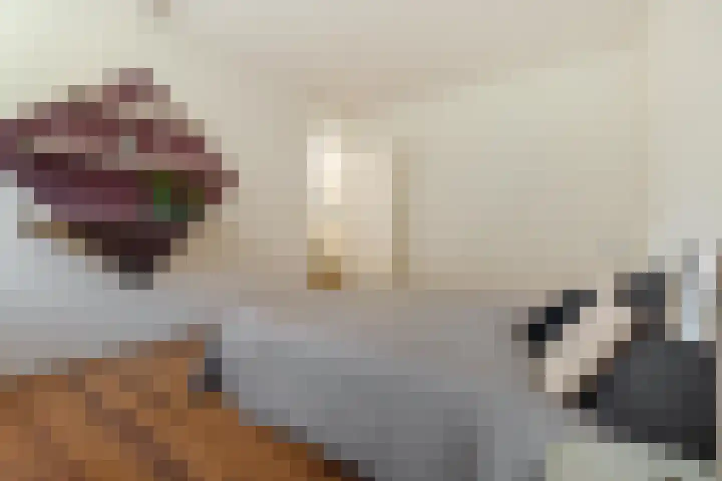 Zetstee 57 Zuidlaren thumbnail 21