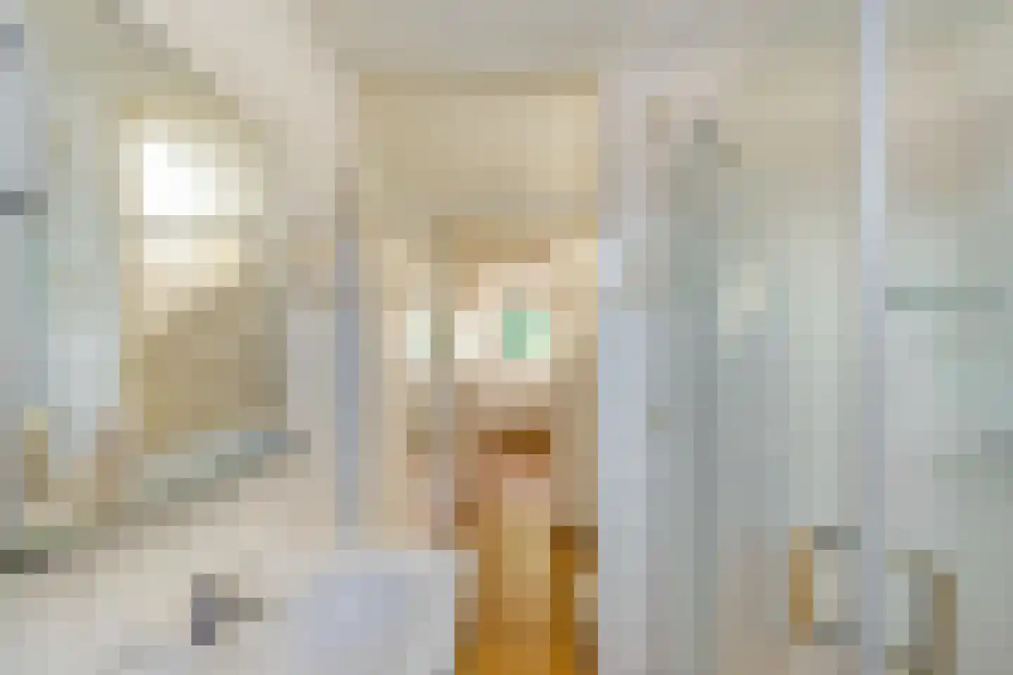 Zetstee 57 Zuidlaren thumbnail 24