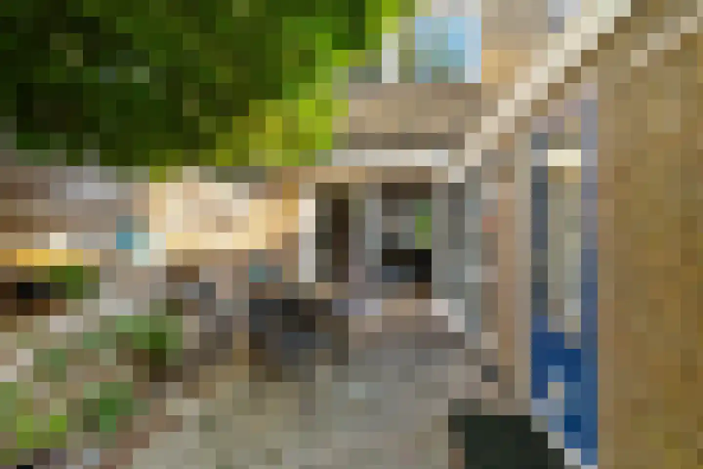 Zetstee 57 Zuidlaren thumbnail 30