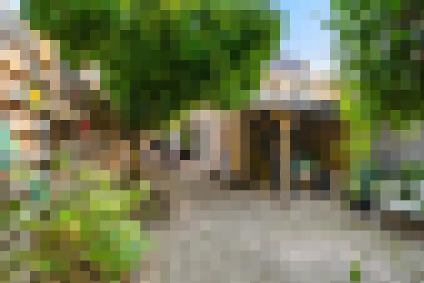 Zetstee 57 Zuidlaren thumbnail 33