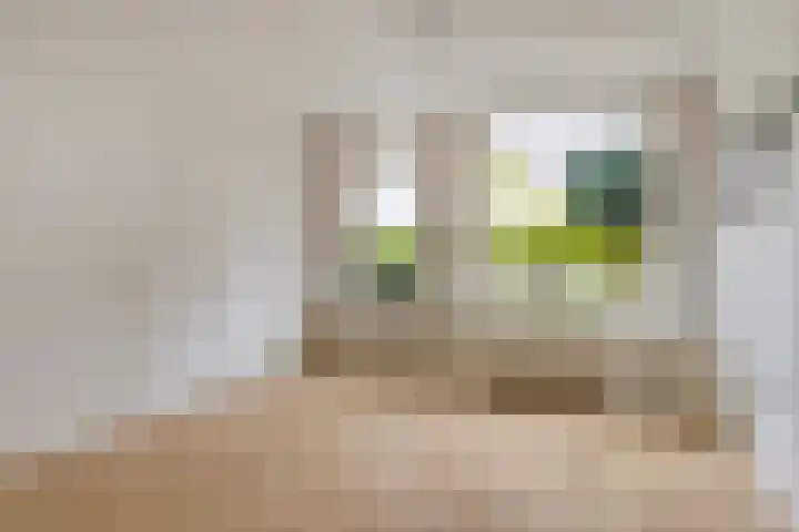 Zetstee 71 Zuidlaren thumbnail 11