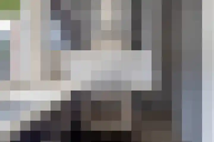 Zetstee 71 Zuidlaren thumbnail 13