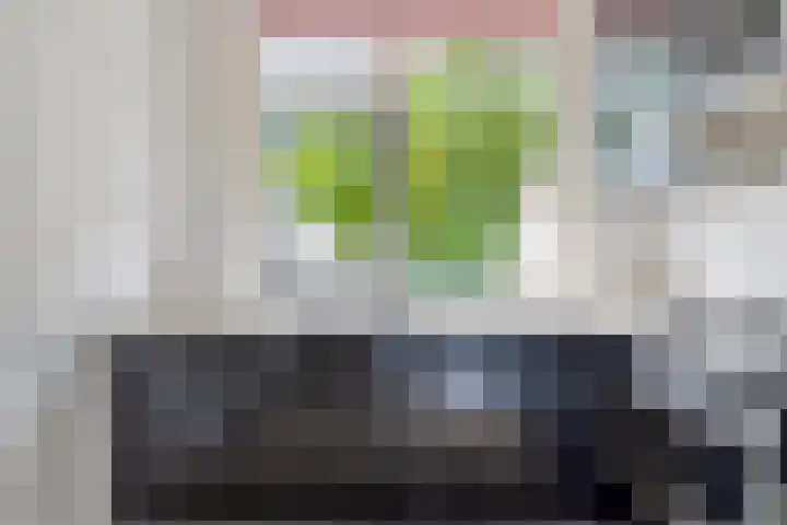 Zetstee 71 Zuidlaren thumbnail 14