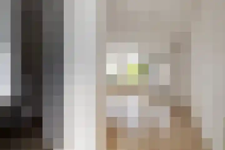 Zetstee 71 Zuidlaren thumbnail 15