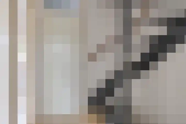 Zetstee 71 Zuidlaren thumbnail 18
