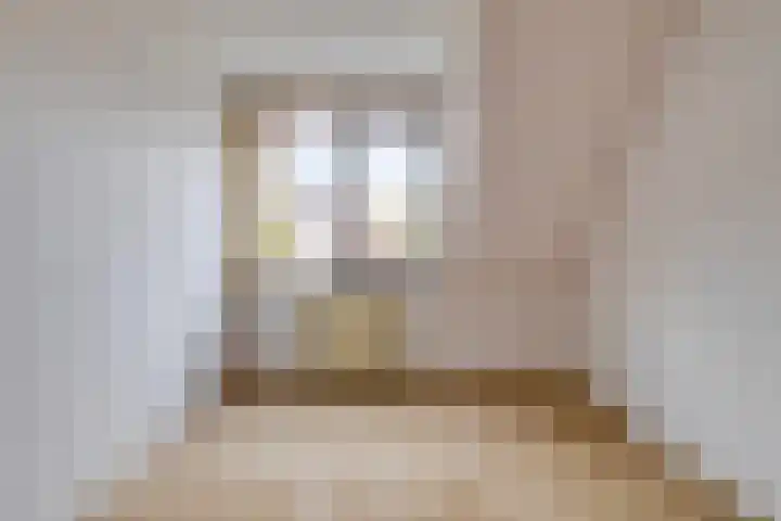 Zetstee 71 Zuidlaren thumbnail 20