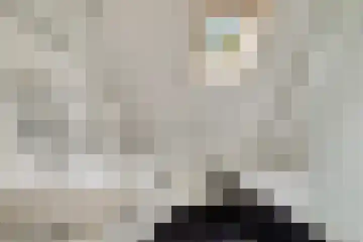 Zetstee 71 Zuidlaren thumbnail 21