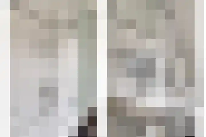 Zetstee 71 Zuidlaren thumbnail 22