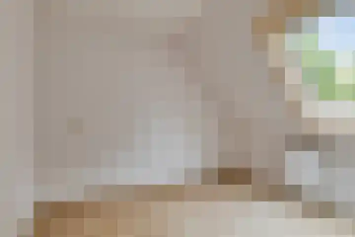 Zetstee 71 Zuidlaren thumbnail 23
