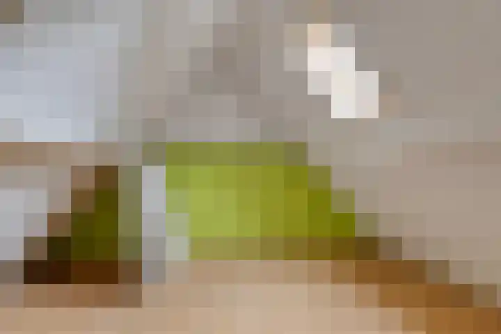 Zetstee 71 Zuidlaren thumbnail 26