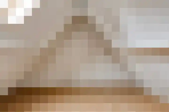 Zetstee 71 Zuidlaren thumbnail 27