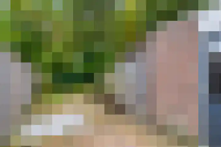 Zetstee 71 Zuidlaren thumbnail 28