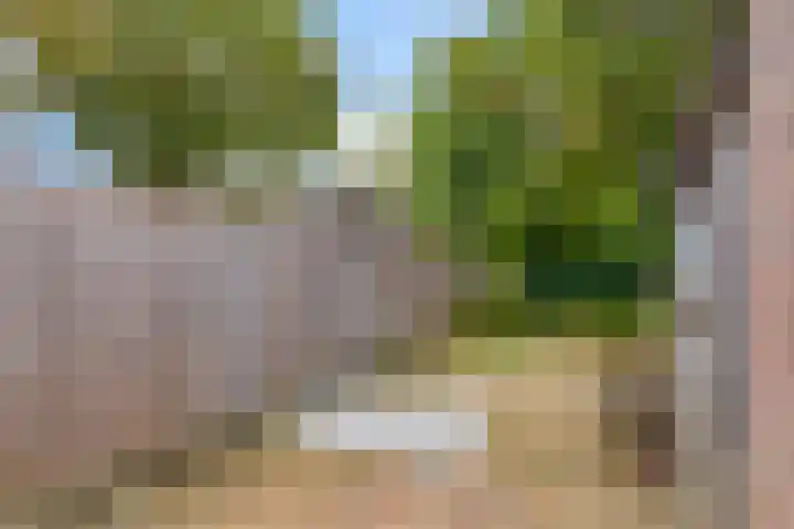 Zetstee 71 Zuidlaren thumbnail 29