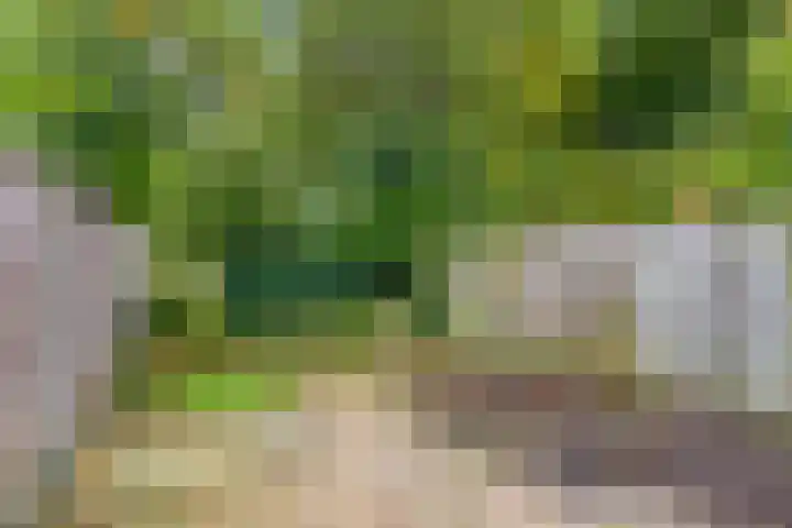 Zetstee 71 Zuidlaren thumbnail 30