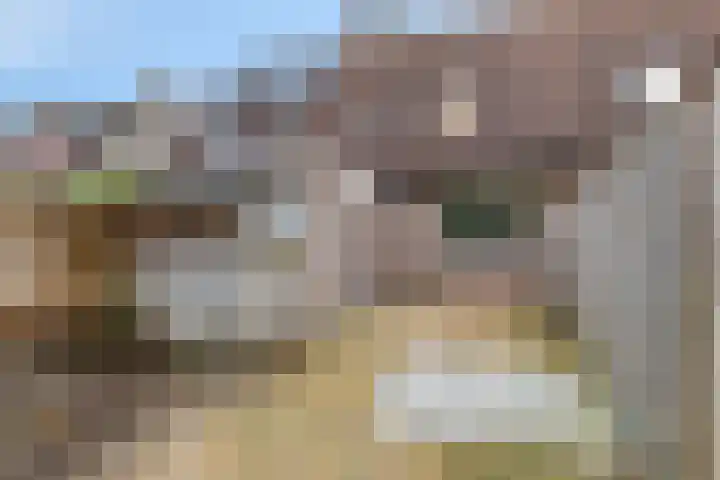 Zetstee 71 Zuidlaren thumbnail 32