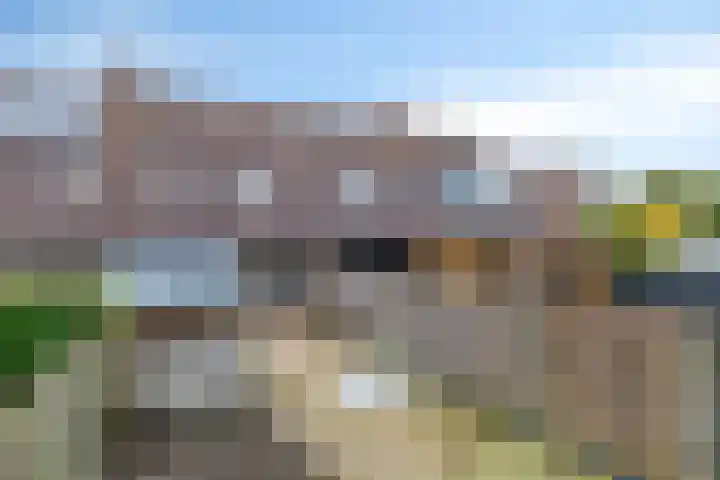 Zetstee 71 Zuidlaren thumbnail 34