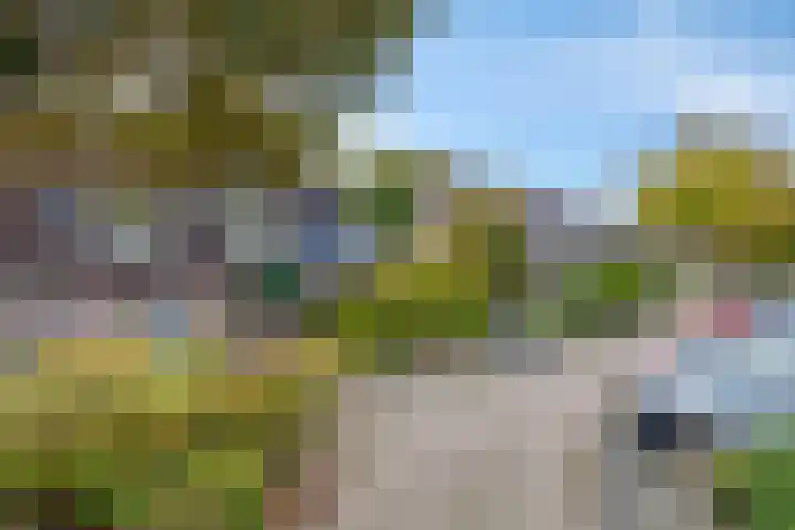 Zetstee 71 Zuidlaren thumbnail 35