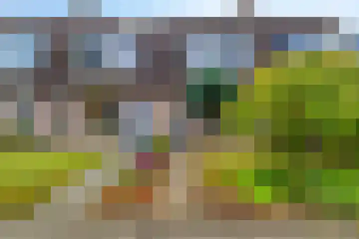 Zetstee 71 Zuidlaren thumbnail 36