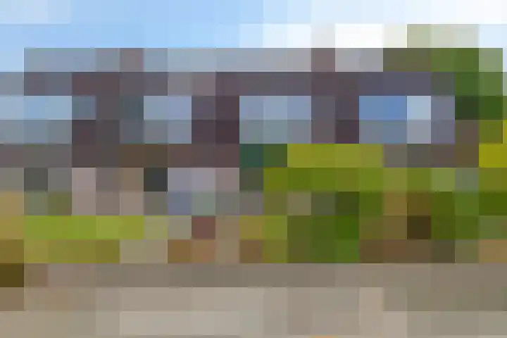 Zetstee 71 Zuidlaren thumbnail 37