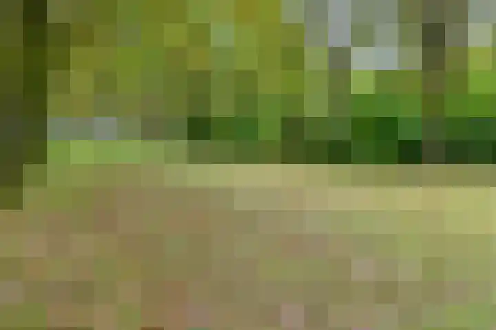 Zetstee 71 Zuidlaren thumbnail 38