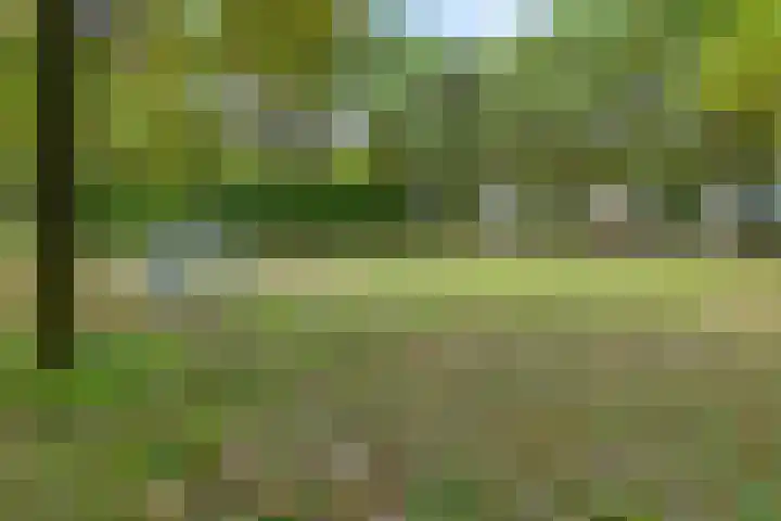 Zetstee 71 Zuidlaren thumbnail 39