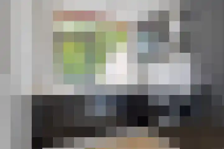 Zetstee 71 Zuidlaren thumbnail 4