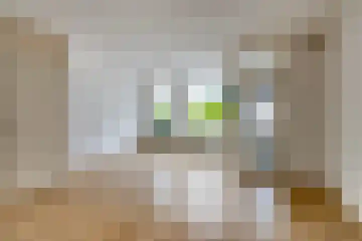 Zetstee 71 Zuidlaren thumbnail 6