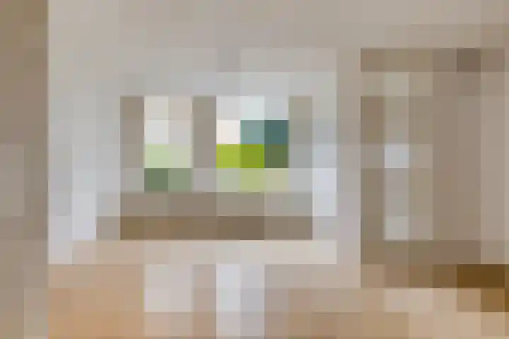 Zetstee 71 Zuidlaren thumbnail 7