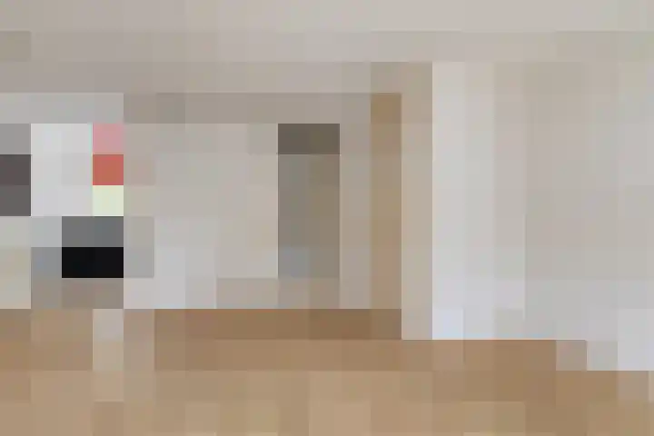 Zetstee 71 Zuidlaren thumbnail 9