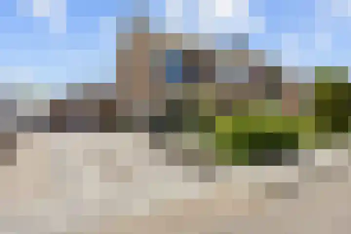 Zetter 4 Delfzijl