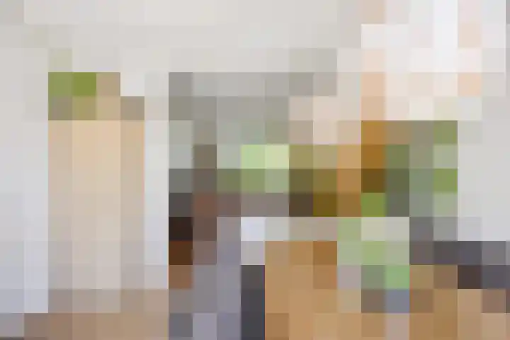 Zetter 4 Delfzijl thumbnail 10